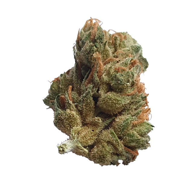 Aurora Typ 1