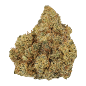 Image of CM 25/1 SCK