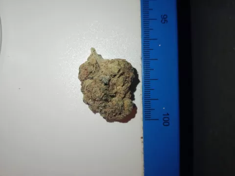 Foto von Patient:in