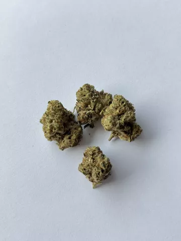 Foto von Patient:in