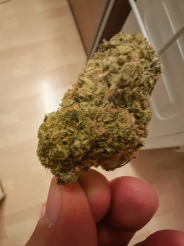 Foto von Patient:in