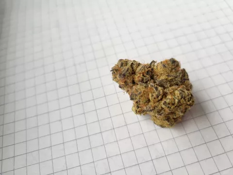 Foto von Patient:in