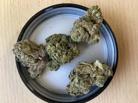 Foto von Patient:in