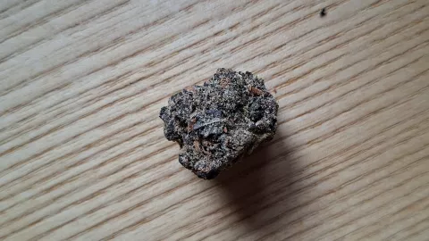 Foto von Patient