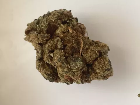 Foto von Patient