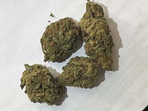 Foto von Patient