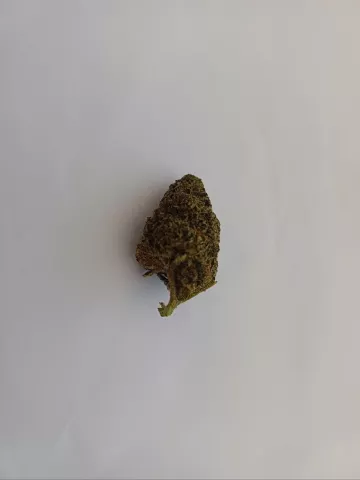 Foto von Patient:in