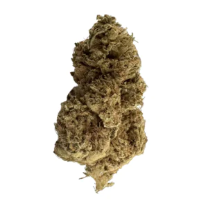 Image of Nimbus EASY 22/1 SG