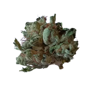 Image of TILRAY THC 22 Indica No.2 MK