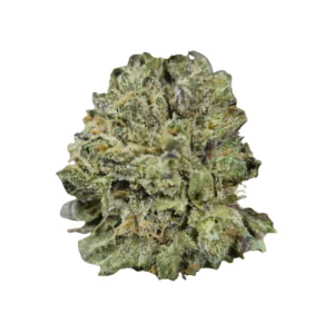 Image of Materia GH 27/1