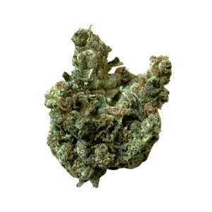 Image of CM 28/1 OG Kush