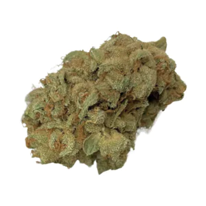 Image of Nimbus easy 22/1 La Sage