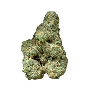 Image of Remexian 27/1 PRT MTP