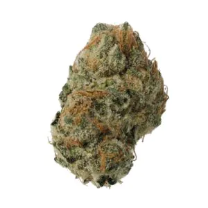 Image of Cannamedical Sativa Forte NM CL