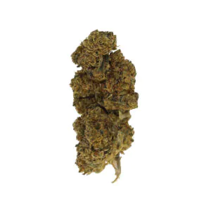 Image of Cannamedical CM 20/1 GG4