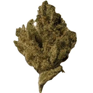 Image of Barongo 22/1 CDR