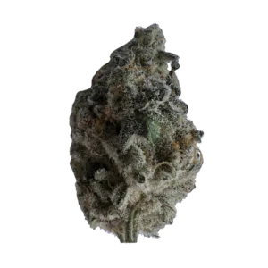 Image of 420 Evolution 25/1 CA MAC