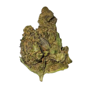 Image of enua 30/1 SBD CA