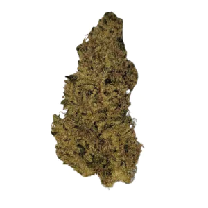 Image of enua 25/1 SC CA