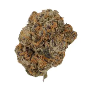 Image of Cannamedical CM 24/1 PG