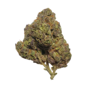 Image of 420 Compound 30/1 CA BBW