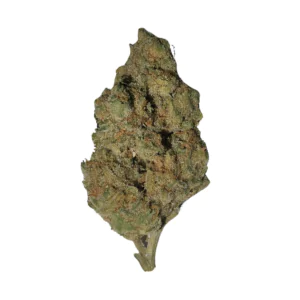 Image of Nimbus Easy 30/1 FC