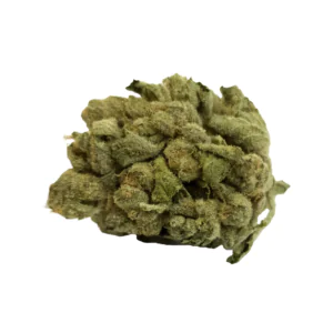 Image of BC Green HGH 27/1