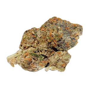 Image of Materia 8BK 30/1