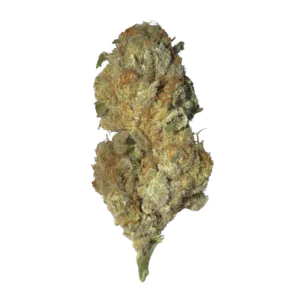 Image of Nimbus Easy 20/1 Hellfire