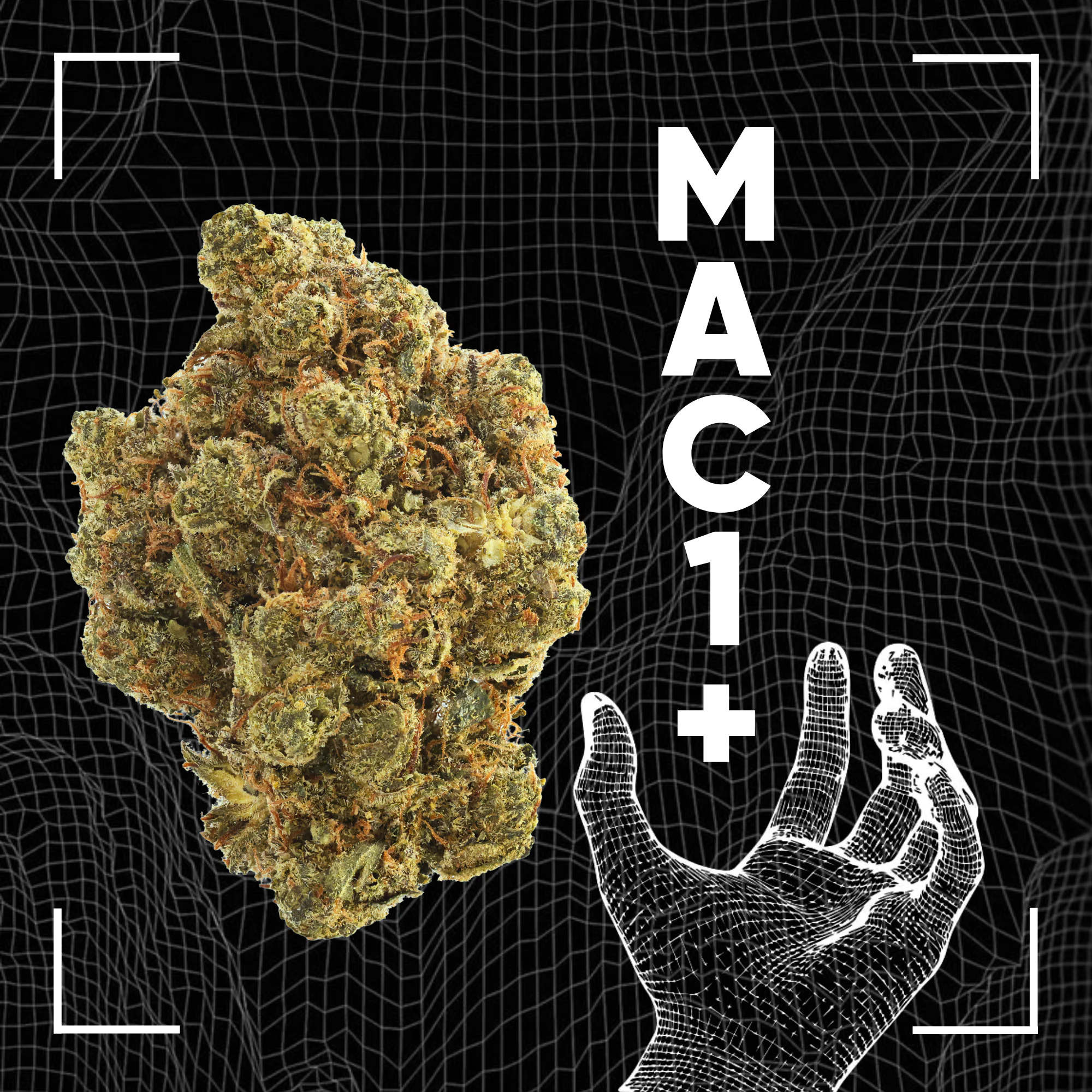 Cantourage MAC 1+ product photo
