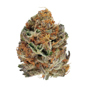 Image of enua 30/1 SF4 CA BBK