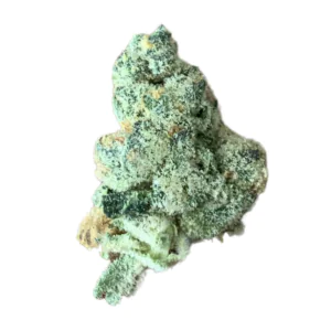 Image of 420 Evolution 25/1 CA GMO