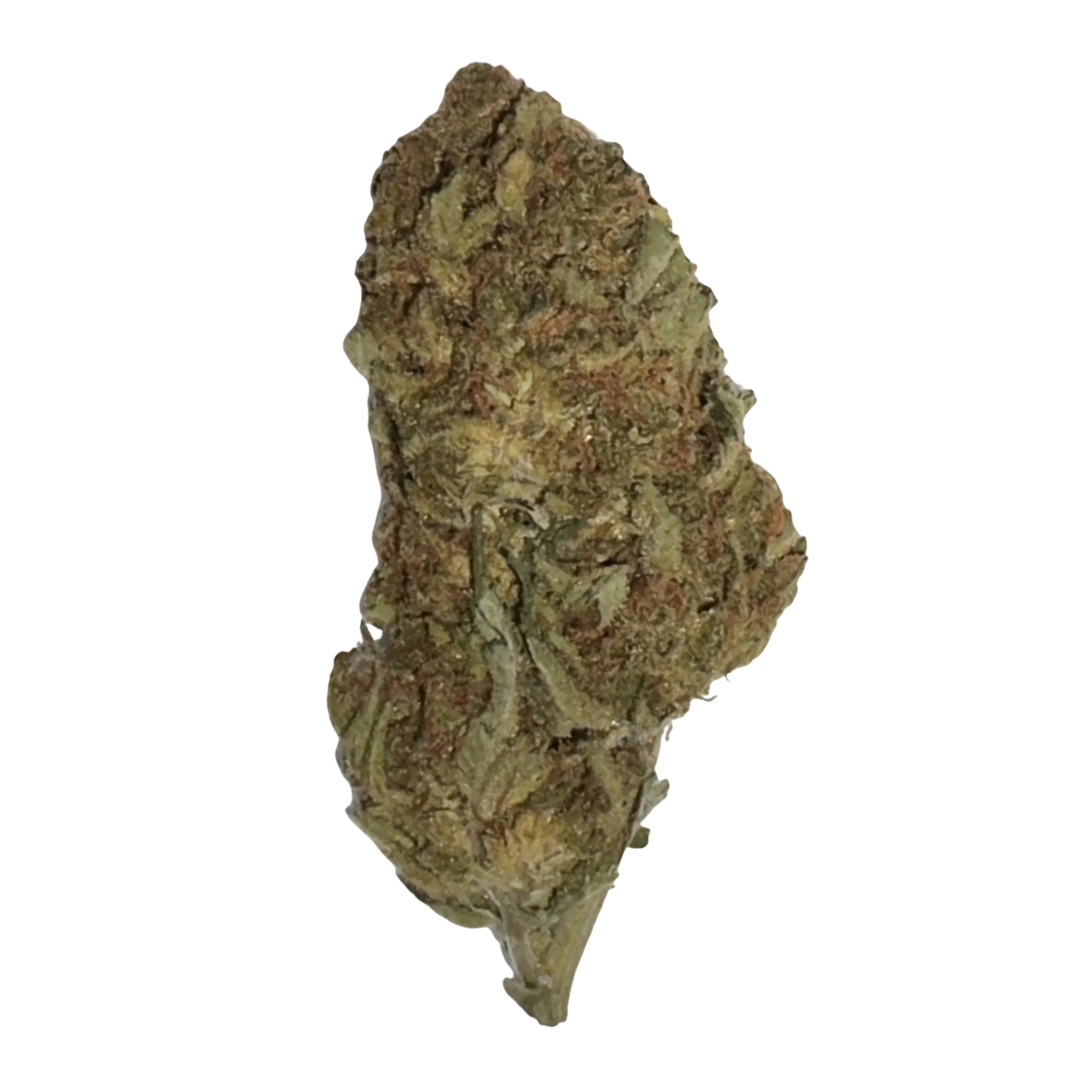 Image of Cannabis Flos 23/1 CO Ku. Kush Mints