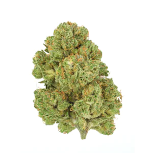 Image of Pedanios 10/13 MBE-CA