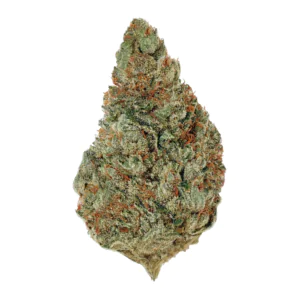 Image of Canopy AKH 22