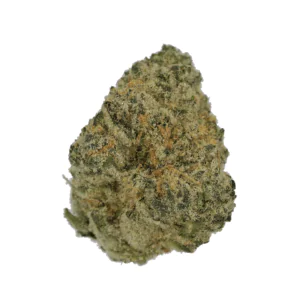 Image of Cannamedical Sativa Ultra NM PC