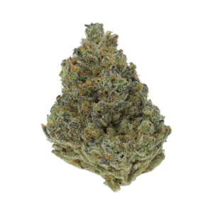 Image of TYSON 2.0 24/1 NYC Diesel