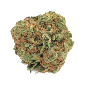 Image of 22/1 NICE BZO
