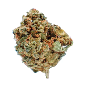Image of Cannabistada 20/1 SEN