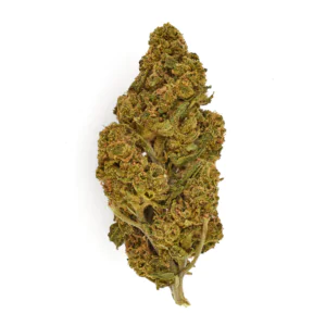 Image of Cannabis Flos 20/1 UY Ku. Big Buddah