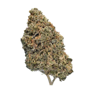 Image of enua 25/1 HWB CA