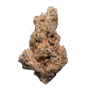 Image of enua 30/1 SLC CA