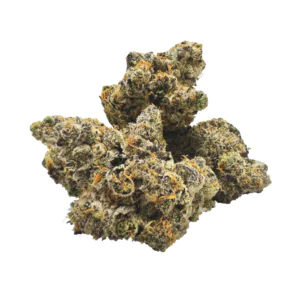 Image of BOTANICS Tonic Fuel 28/1
