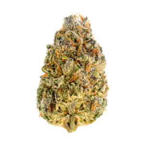 Image of Wellford Aquaponic 30/1 QSG