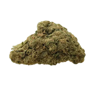 Image of Cannabis Flos 18/1 UY Ku. Big Buddah