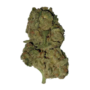 Image of Curaleaf Natural 30/1 PT WPT