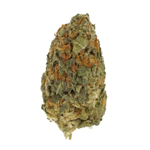 Image of CM 28/1 BRY