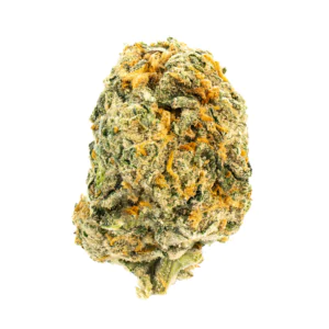 Image of Wellford Aquaponic 29/1 COP