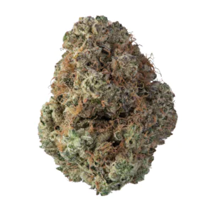 Image of Cookies 22/1 MD