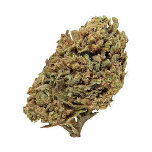 Image of THC akut OHS 20 AS